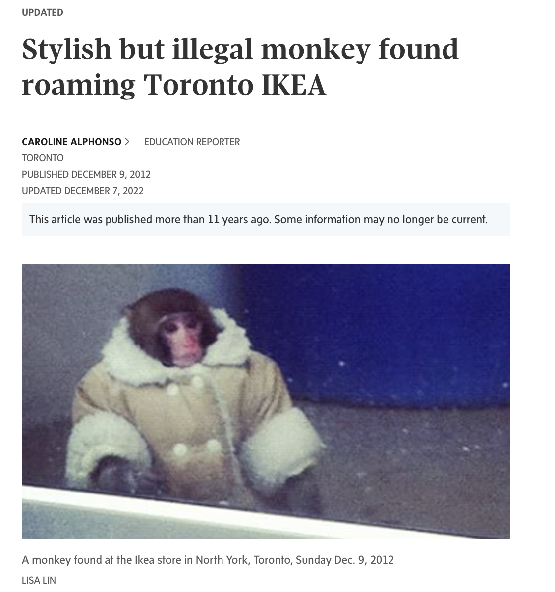 ikea monkey canada - Updated Stylish but illegal monkey found roaming Toronto Ikea Caroline Alphonso > Education Reporter Toronto Published Updated This article was published more than 11 years ago. Some information may no longer be current. A monkey foun